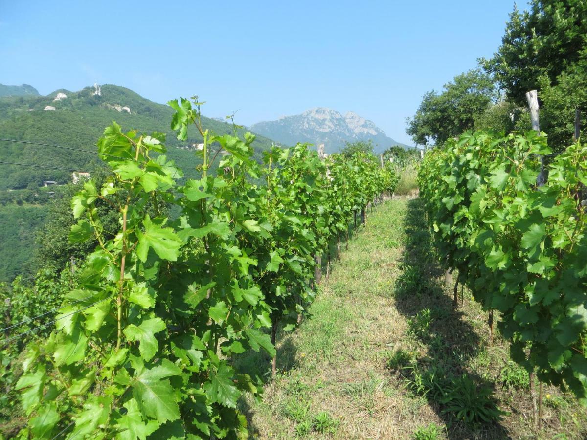 Vila Ancient Estate "Il Trignano" Vietri Exteriér fotografie