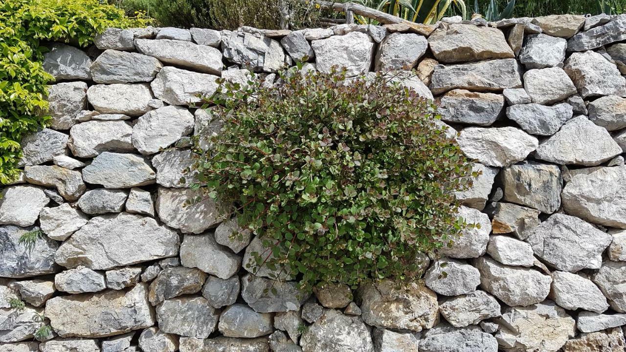 Vila Ancient Estate "Il Trignano" Vietri Exteriér fotografie
