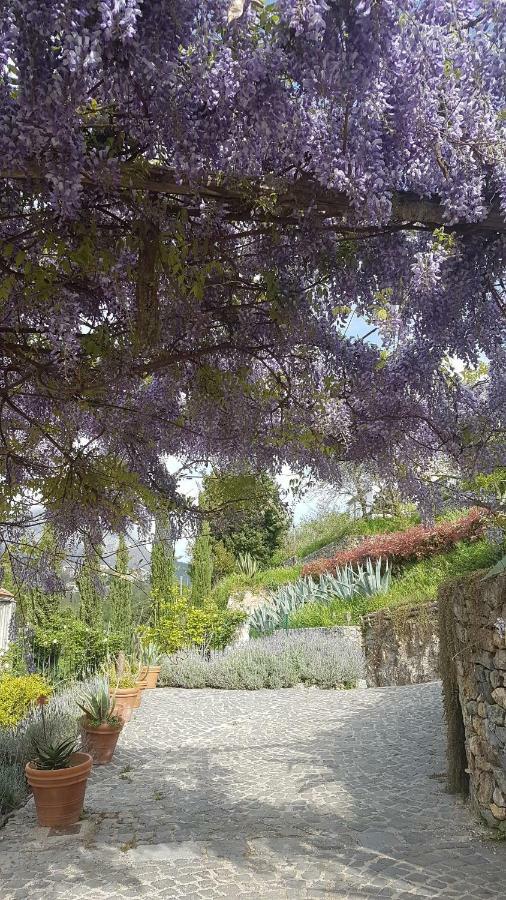 Vila Ancient Estate "Il Trignano" Vietri Exteriér fotografie