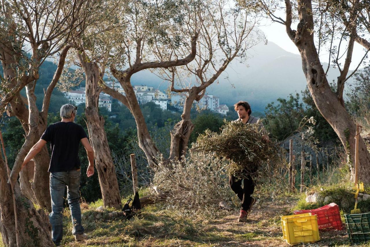Vila Ancient Estate "Il Trignano" Vietri Exteriér fotografie