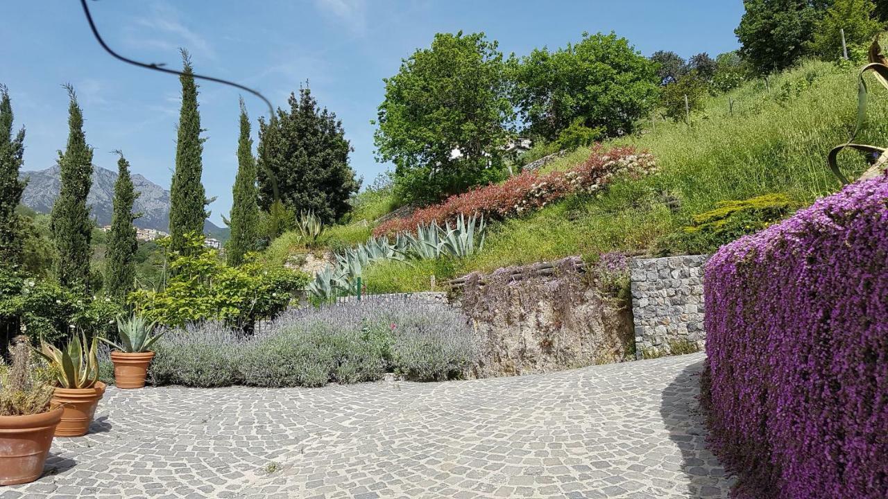 Vila Ancient Estate "Il Trignano" Vietri Exteriér fotografie
