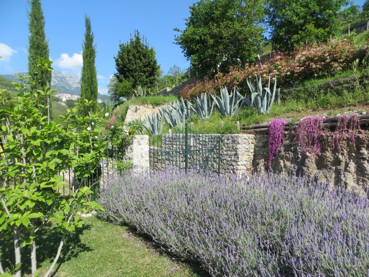 Vila Ancient Estate "Il Trignano" Vietri Exteriér fotografie